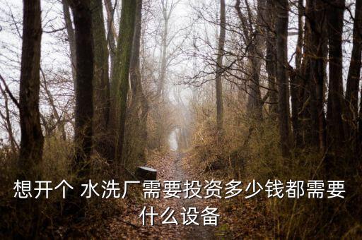 想开个 水洗厂需要投资多少钱都需要什么设备