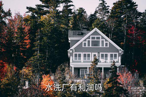  水洗厂有利润吗